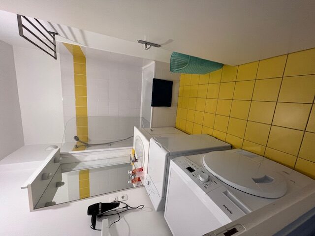 Salle de bain avec baignoire et lave-linge