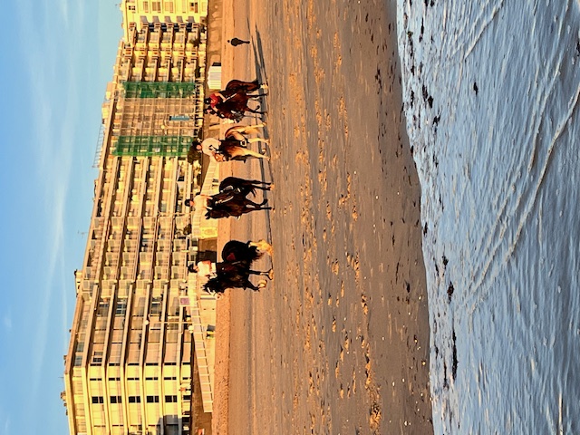 Promenade à cheval au coucher du soleil